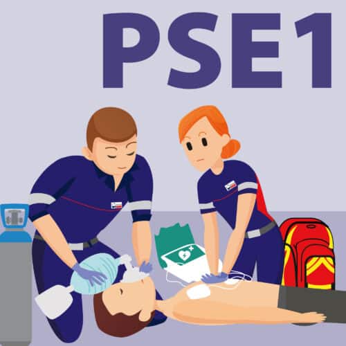 Premiers Secours en Equipe de Niveau 1 : PSE 1